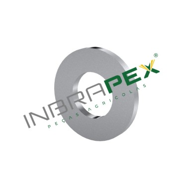 921030010 - ARRUELA LISA SIMILAR VENCE TUDO | INBRAPEX